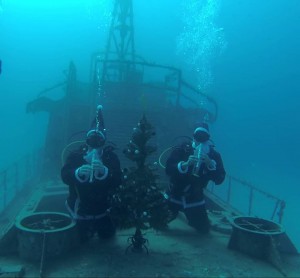 Xmas Dive