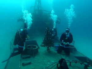 Xmas Dive